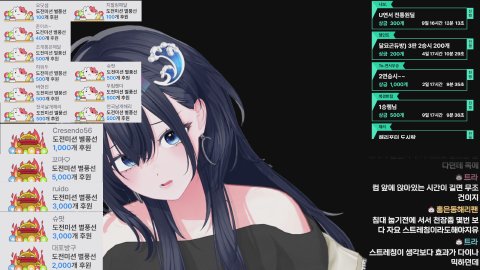 해리의 라이브 방송