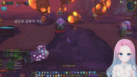 와우 전장 재밌었다..💗 [혜디스패치]