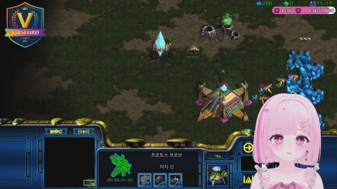 🎀 프로토스 니니 🎀