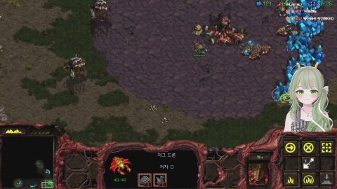 [고래상사]감기가비 스타 알아보기