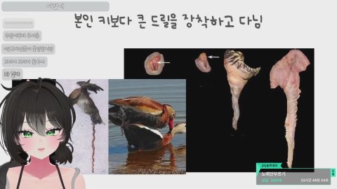 방송화면 썸네일