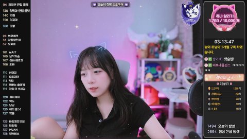 [뉴캣슬] 🥱🥱🥱 🐾