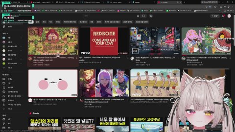 챈나룽 서버 설명회 보기