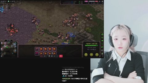 [뉴캣슬] 미스샘이랑 맵 교육!!    하밍, 유즈, 단솔, 으니